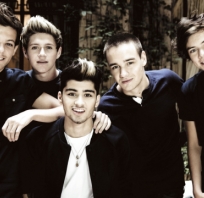 One Direction, 1D, inspiracje, zespół