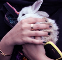 Czarny, Blackberry, Bunny, Dziewczyna, Złoto, Ręce
