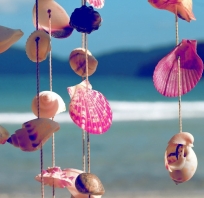 wakacje, słońce, muszle, plaża