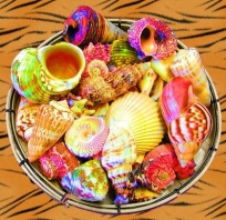 Muszle