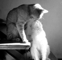 <3<3<3 give me a kiss <3<3<3