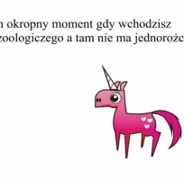 jendorożec, zoo, śmieszne, fun