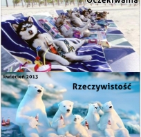 A jak wam mija tegoroczna wiosna ... 