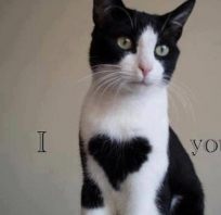 I love you...