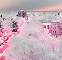 fotografia, zima, miasto, artystyczne, kolory, róż, biel