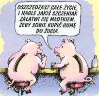 śmieszne, świnki, żart, skarbonka, świniak