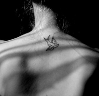 tatuaż, ptak, motyw ptaka, na plecach, tattoo