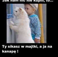 Zemsta :)