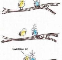 dziewczyna, ptak, śmieszne, fajne, humor