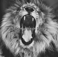[ insert a b*tch here ]