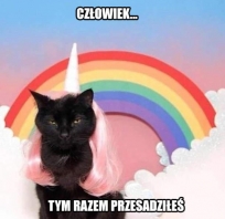 śmieszne, fun, humor, kot
