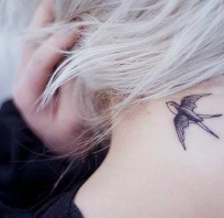 szyja, tatuaż, tattoo, kobieta, ptak, motyw, na plecach, motyw tatuaż, 