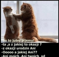 No to jutro pijemy :)
