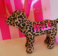 Victoria's Secret, piesek, pink, wild, tyfgrysek, produkt, maskotka