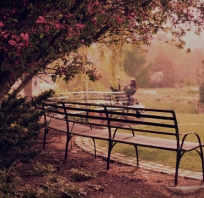 park