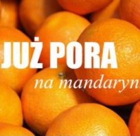 humor, fun, śmieszne