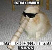komar, śmieszne, fun