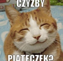 Piątek, piąteczek, piątunio