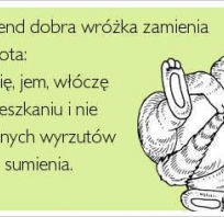 kot, humor, weekend