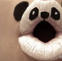 panda, usta, koala, zdziwienie, piękne, talent, gitesowe
