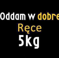 oddam w dobre ręce :)