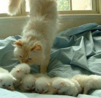 Super!
