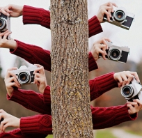 paparazzi, dziennikarze, aparat, aparaty, fotograficzny, fotografia, zdjecie