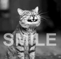 Smile
