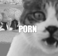 OMG ;) #śmieszne
