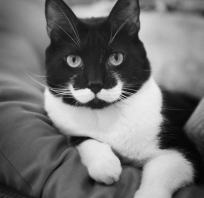 #Hipster ;)
