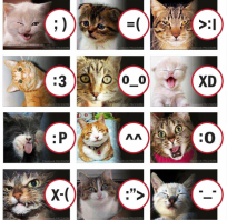 emoty, koty, śmieszne, humor