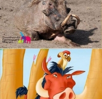 Hhahaha oni na prawdę istnieją, ! Król Lew