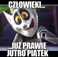 człowieki, julian, piątek, śmieszne
