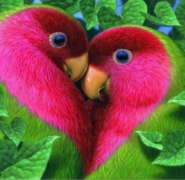 Cool, Natura, Green, papugi