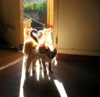 Just love.