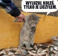Koleś ja  je tylko liczę...