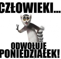 Człowieki... odwojuję poniedziałek