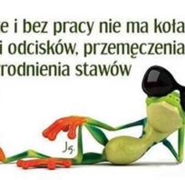 śmieszne, humor, praca, fun, 