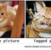 Zdjęcie profilowe vs zdjęcie na którym zostałam oznaczona!