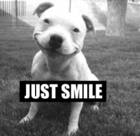 pies, śmieszne, humor, ciekawe, just smile, uśmiech, zwierzęta