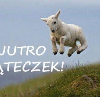 Jutro Piąteczek!, piątek, humor