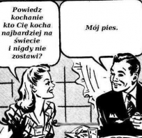 kot, śmieszne, humor, fun, 