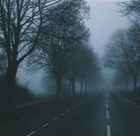 mrok, droga, drzewa, mroczne, fotografia, zdjęcie, ładne