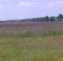 natura