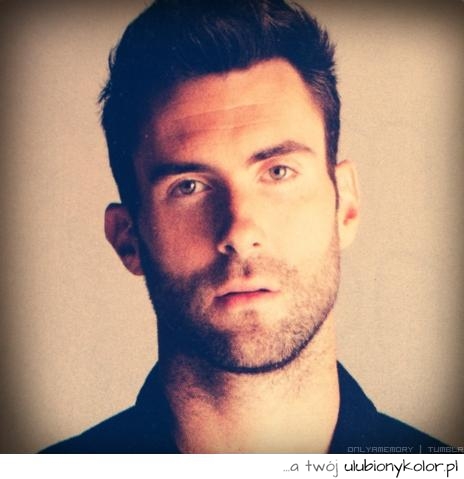 adam levine, muzyk, muzyka, gwiazda, przystojny, facet, broda