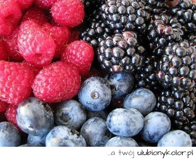 owoce, maliny, jagody,jeżyny 