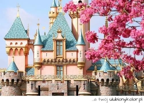 Disney land, Moda, kwiatowy, kwiaty, fotografia, ładna