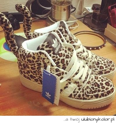 buty, nike, moda, panterka