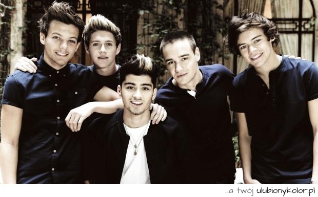 One Direction, 1D, inspiracje, zespół