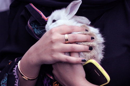 Czarny, Blackberry, Bunny, Dziewczyna, Złoto, Ręce